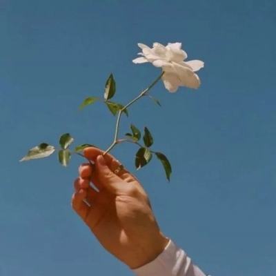 秦朝霸业满v版下载