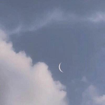 极速狂飙车王游戏